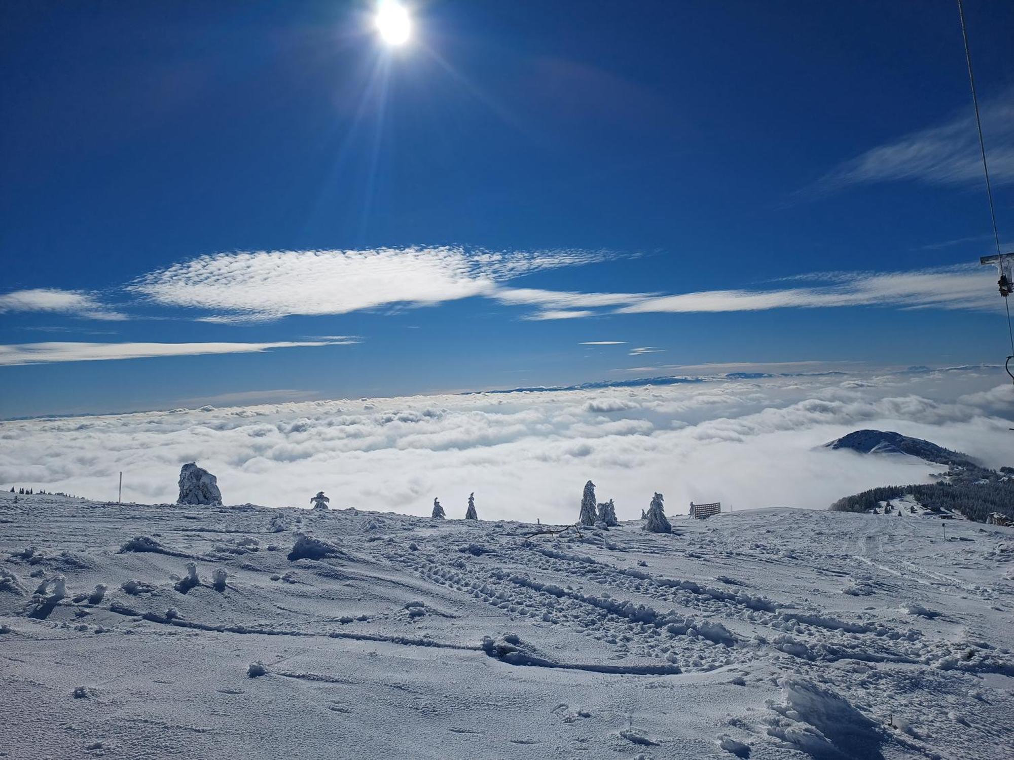 Kuca Za Odmor "Djurovic" Appartement Kopaonik Kamer foto